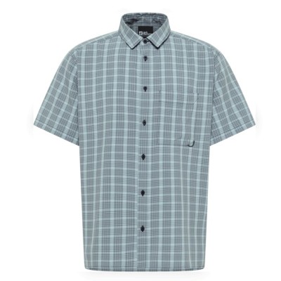 Check dark navy